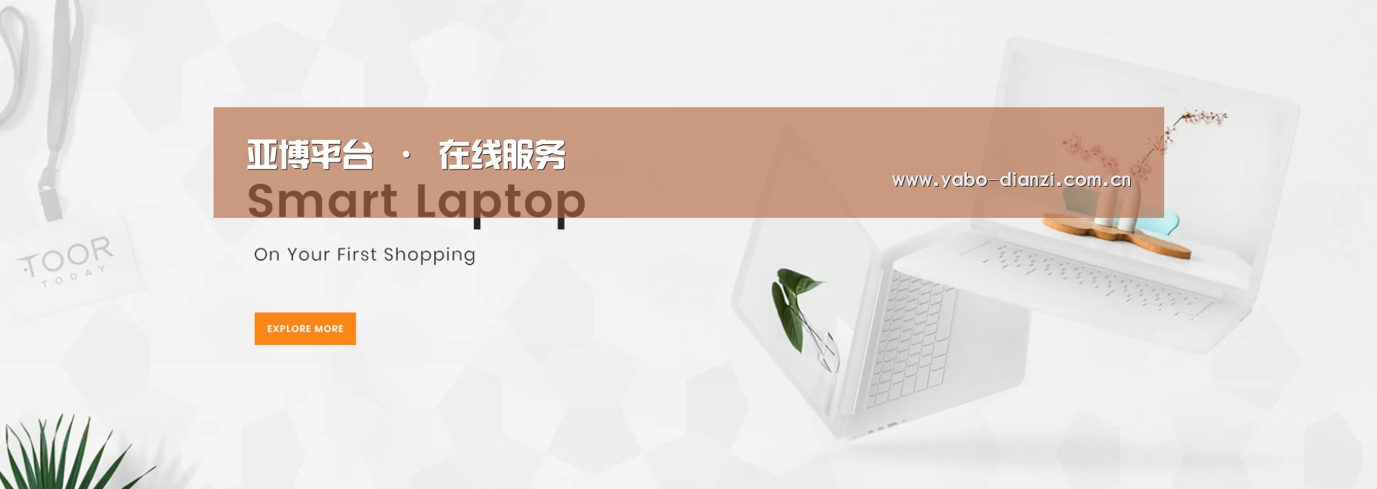 某某网络科技有限公司